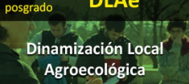 Posgrado DLAe