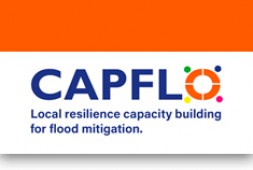 Capflo