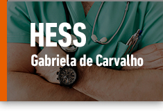 HESS – The Dynamics of Healthcare Systems Segmentation: The institutional stratification of social groups in South America